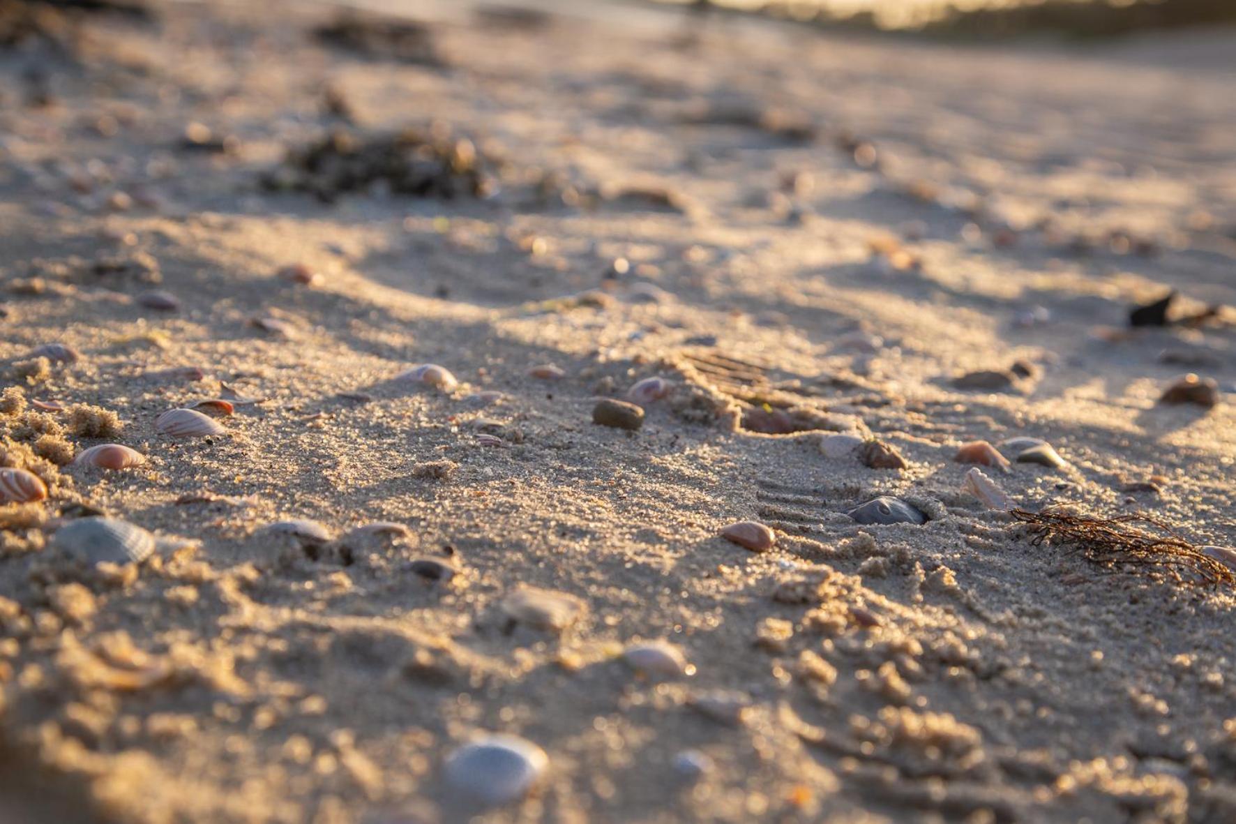 Wohnen Am Suedstrand - Ferienwohnung 0 3 Wyk auf Föhr Eksteriør billede